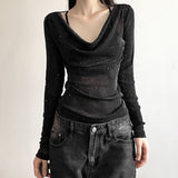 Sparkly Mesh Long Sleeve Top