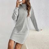 Turtleneck Slim Mini Dress