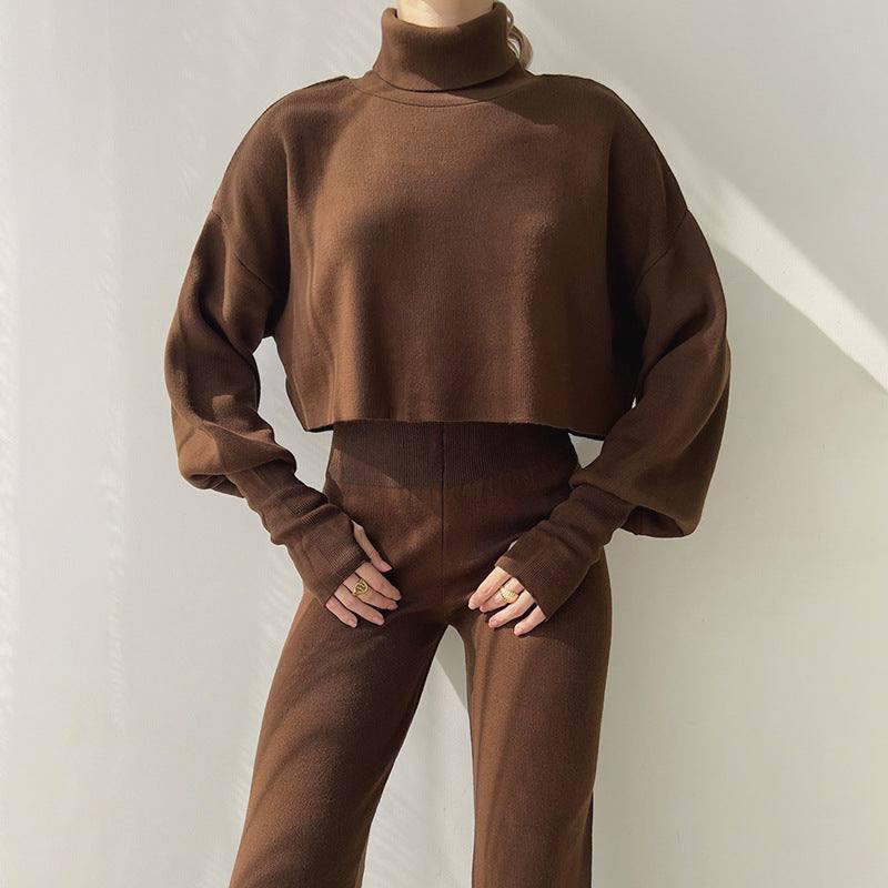 Autumn And Winter European And American Turtleneck Loose-Brown-4