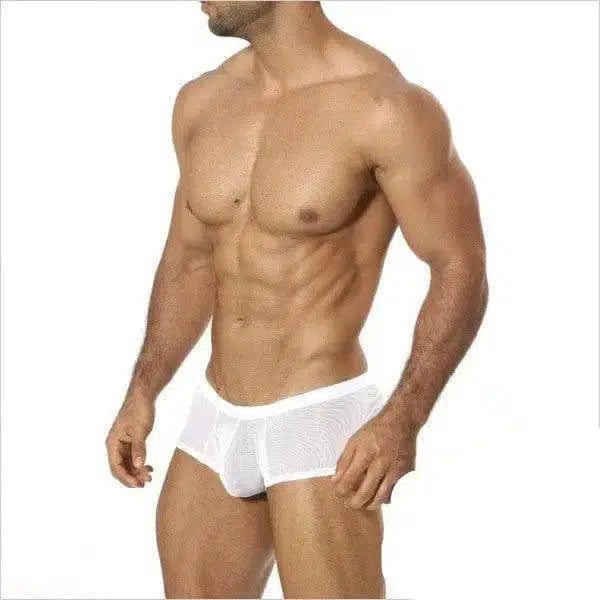 Full transparent mesh boxer-2