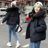 Large Fur Collar Thick Padded Jacket Down Women Short Slim-Black-3