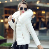 Fur Hooded Women's Winter Coat-White-2