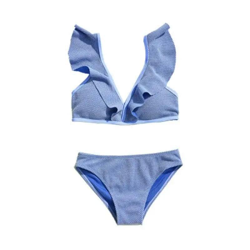 Two-piece Bikini Small Breasts Gathered-Blue-1